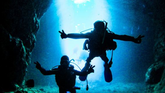 Okinawa Okinawa Diving Shop Seamall