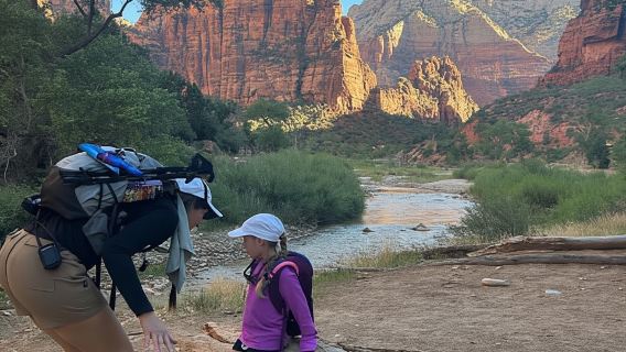 Von Springdale: 4-stündige Wanderung mit Panoramablick durch den Zion-Nationalpark