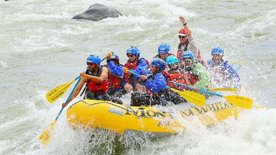 Montana Whitewater Half Day Raft Trip - Yellowstone River
