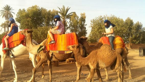 Marrakech Camel Ride Tour