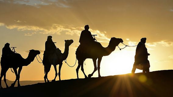Agadir Camel Ride with Couscous & barbecue