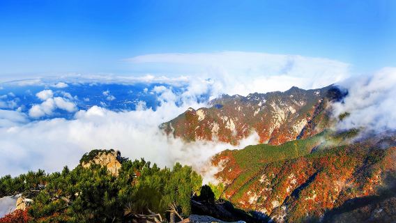 英山日遊