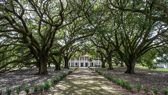 Lawatan Whitney Plantation dengan Pengangkutan dari New Orleans