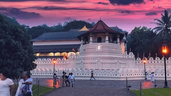 Kandy City Tour and day trip private luxury car and van