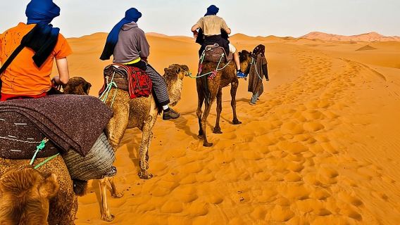 レッドデューンズ砂漠サファリプラスATVクワッドバイクライド（ランドクルーザー）