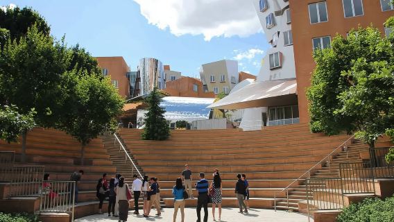 アメリカ・ボストンMIT半日ツアー【ウォーキングツアー/英語ガイド】