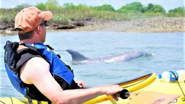 Excursión ecológica guiada en kayak de 2 horas en Charleston