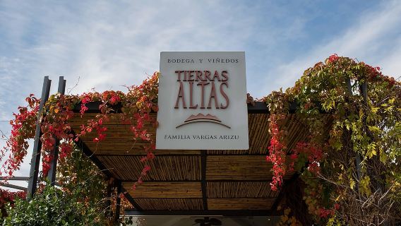 Esperienza Malbec nella Bodega Tierras Altas