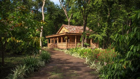 Cultural Experience Tour