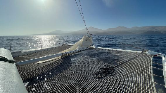 Whale & Dolphin Observation on Silent Catamaran with Hydrophone