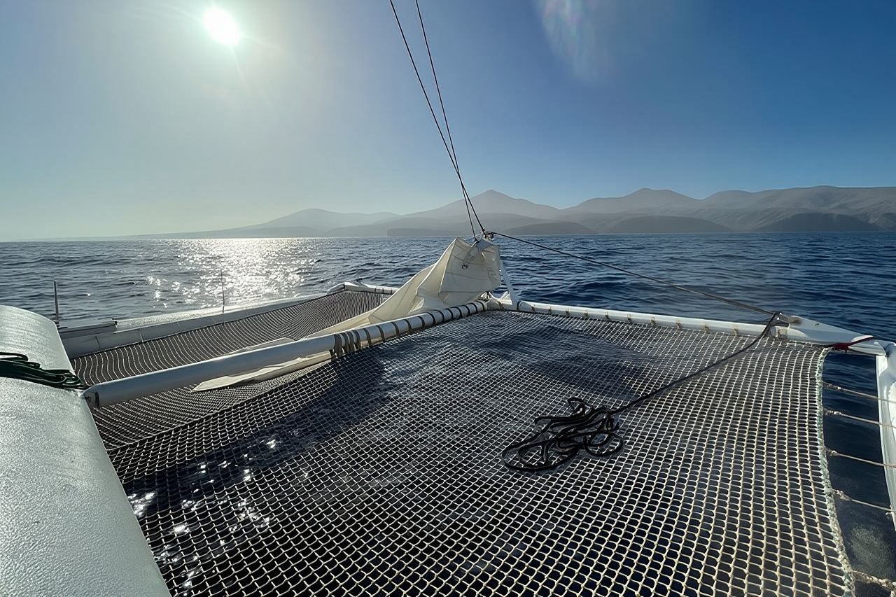 Quan sát cá voi và cá heo trên thuyền buồm không tiếng ồn với thiết bị thu âm dưới nước.