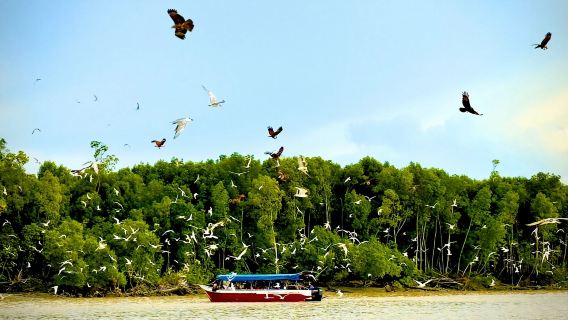 Kuala Selangor Half Day Tour - Cultural and Nature: Sri Shakti Temple · Eagle Feeding · Fireflies