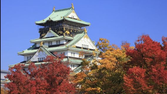 大阪日遊
