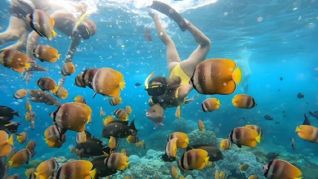 Snorkeling In Nusa Penida Departing From Bali Island