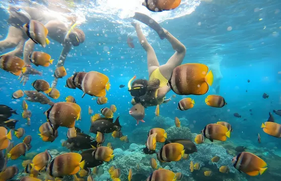 從峇裡島出發在珀尼達島浮潛