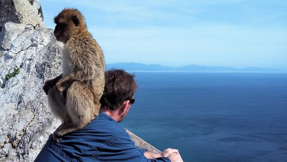 Gibraltar private tour from Marbella or Malaga