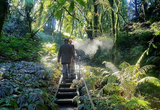 Waitomo's Hidden Gem: Small-Group Off the Beaten Track Tour