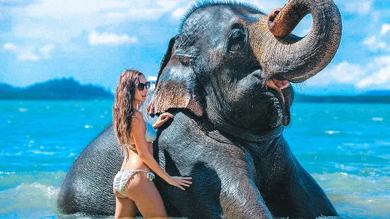 Featured tour starting at 2879 THB: Phuket Lily Elephant Sanctuary Half-Day Tour with Meal at Heineken Sea View Park
