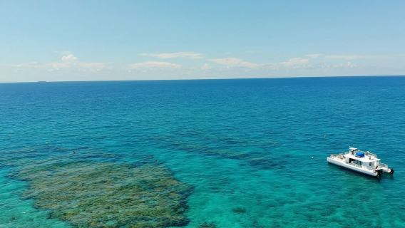 Наблюдение за дельфинами в Ки-Уэст + сноркелинг + закатный круиз / прогулочное судно / круизный катер