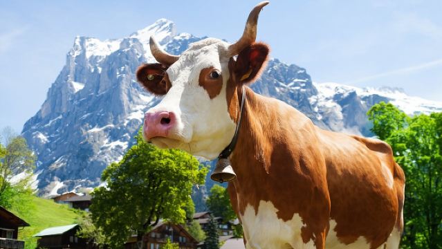 From Zurich: Rhine Falls, Chocolate and cheese factory (KTZ373)