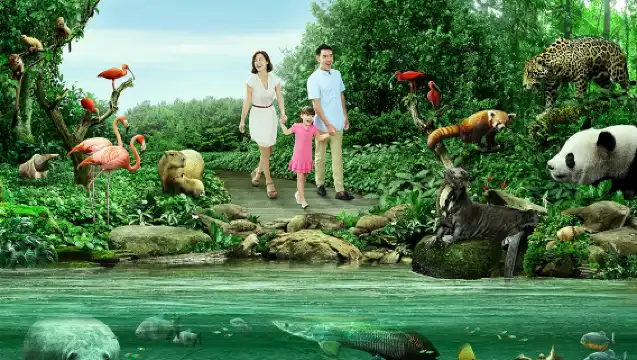 新加坡動物園一日遊夜間河川日間動物園新加坡飯店專車接送普通話