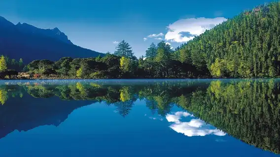 千島湖夢想5號遊船+千島湖景區門票休閒遊