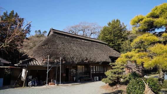 Fukuoka: Private Farm Experience with Lunch