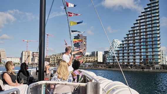 Aarhus: Cruceros por el puerto con guía local