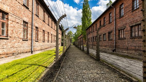 Krakow: Auschwitz-Birkenau Museum One-Way Bus Transfer