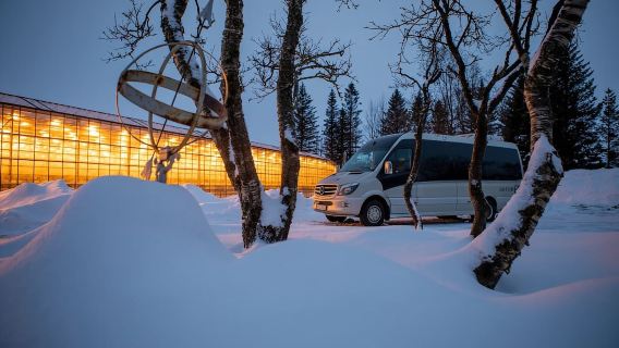 Рейкьявик: Золотое кольцо, томатная ферма и тур по кратеру Керид