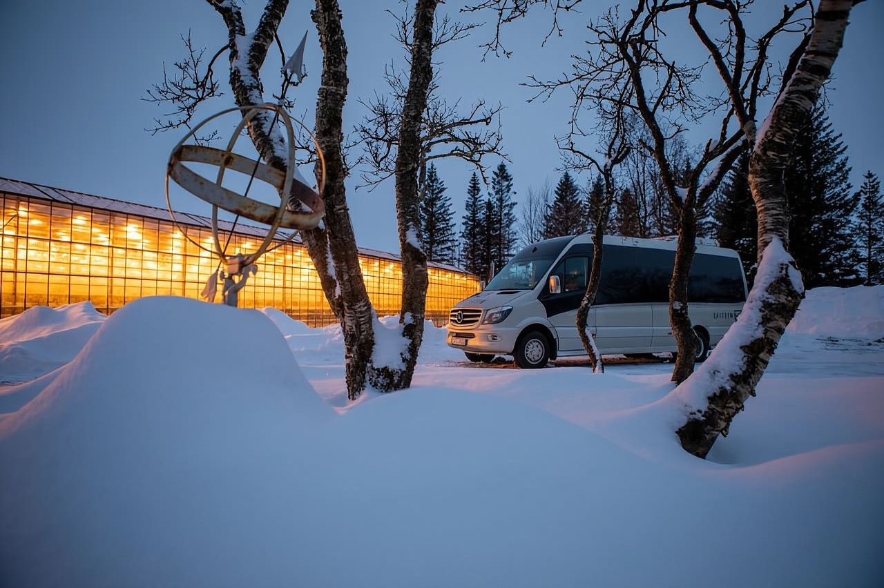 Reykjavik: tour del Circolo d'Oro, della fattoria dei pomodori e del cratere Kerið