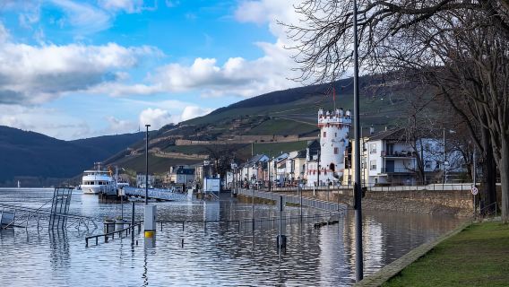 Rhine Valley Castles: 1.5-Hour Boat Tour from Rüdesheim
