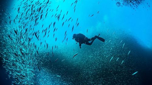 Dubai ScubaDive.ae + Jumeirah Beach diving experience scuba diving 0.5h [Dubai scuba diving experience] 5