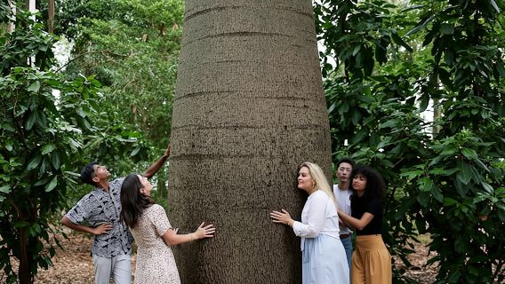 Adelaide Botanic Garden guided tour