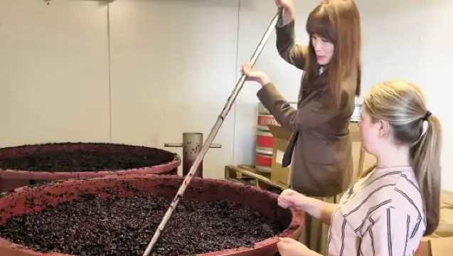 【澳洲】獵人谷葡萄酒、芝士及朱古力之旅（包括午餐及品酒，全程無憂）！可選悉尼／獵人谷／紐卡素出發