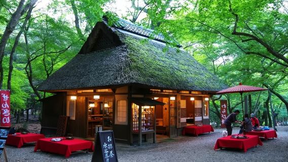 Nara Uji Hot Spring Day Tour [Deer Interaction + Tōdai-ji Blessing + Uji Matcha] Minimum 4 Travelers Required
