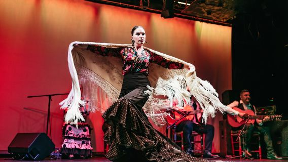 บาร์เซโลนา: การแสดงฟลาเมงโกที่โรงละคร
