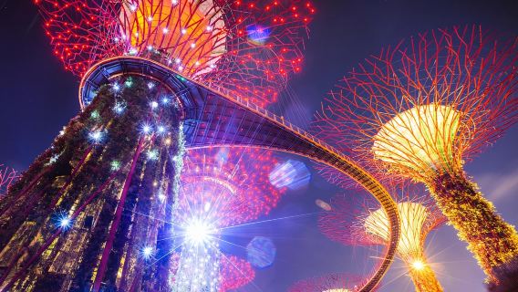 Gardens by the Bay - Ticket