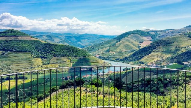 Berangkat dari Porto | Perjalanan satu hari ke dua wilayah anggur + makan siang di peternakan + kapal pesiar di Sungai Douro