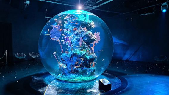 Kobe Nunobiki Herb Gardens & Instagram-famous ATOA Aquarium 1-day Tour - Minimum 4 travelers required