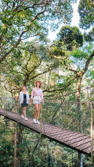 ทัวร์อุทยานแห่งชาติเรมิงตัน & ไร่องุ่นโอไรลี