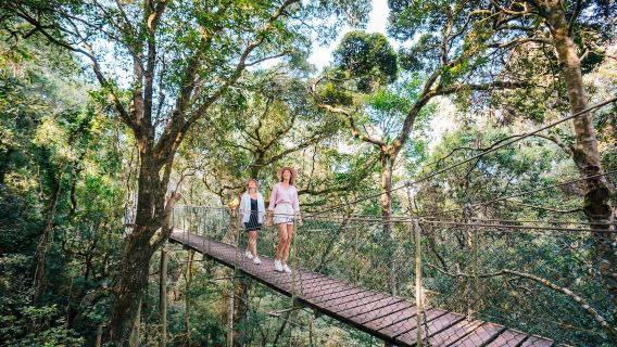 Excursión al Parque Nacional Lamington y a la Bodega O'Reilly