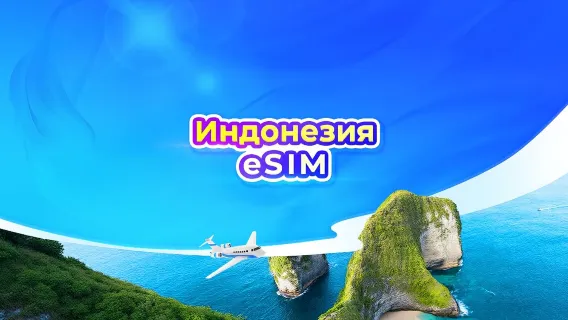 Индонезия 5G eSIM | 4 сети • Яндекс, AI и TikTok | Дневной пакет/пакет трафика | 1 день = 24 часа | QR-код