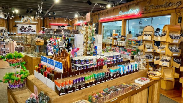 Seward : Excursion d'une journée complète en transit vers Anchorage avec prise en charge au port