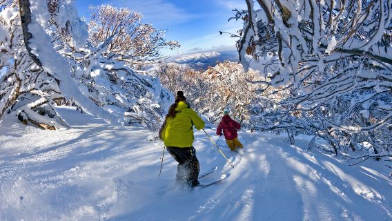 Dari Melbourne: Transfer Ekspres Coach ke Desa Mt Buller
