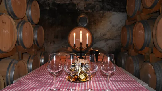 Exclusive Hvar Wine Tour with Scenic Views and Local Wines