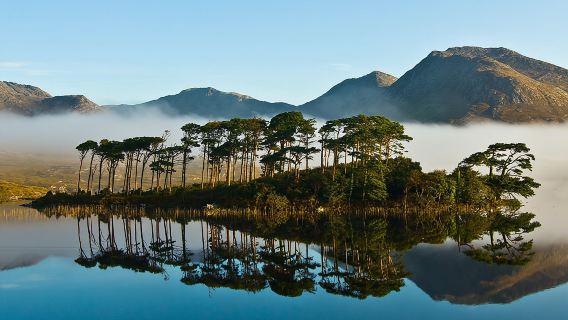 Connemara, Kylemore Abbey and Wild Atlantic Way tour from Galway