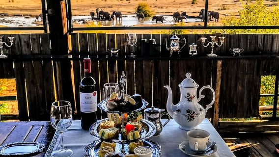 Tea in the Savannah, Safari Game Drive
