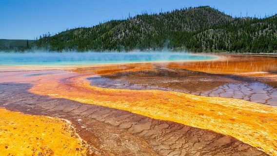 Lawatan Berpandu Yellowstone Terbaik dari Bozeman - Lawatan Peribadi