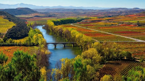 ทัวร์ไวน์ Rioja Alta และ Rioja Alavesa